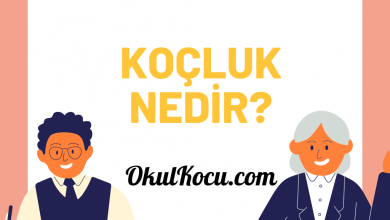 koçluk nedir